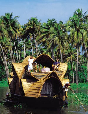 The Palm and Backwater
